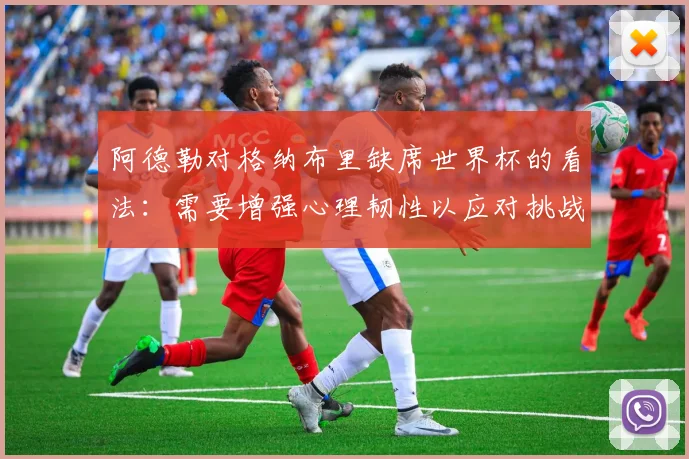 阿德勒对格纳布里缺席世界杯的看法：需要增强心理韧性以应对挑战