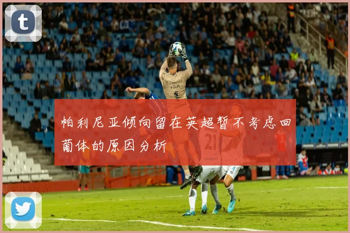 帕利尼亚倾向留在英超暂不考虑回葡体的原因分析