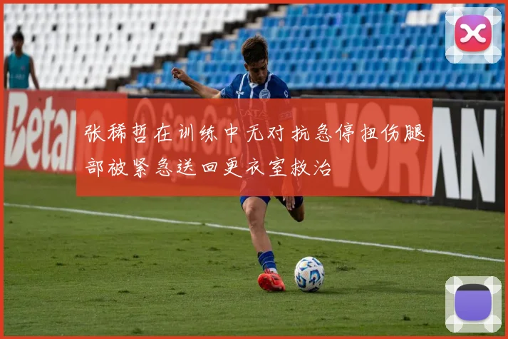 张稀哲在训练中无对抗急停扭伤腿部被紧急送回更衣室救治