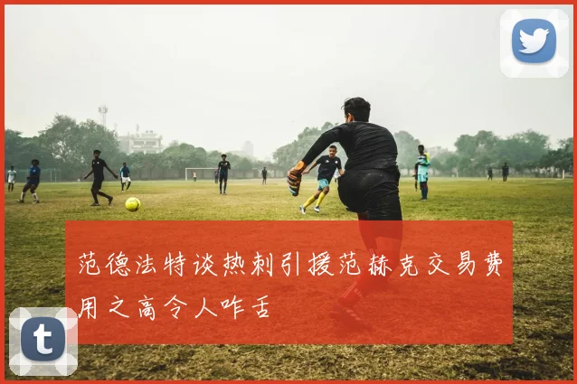 范德法特谈热刺引援范赫克交易费用之高令人咋舌